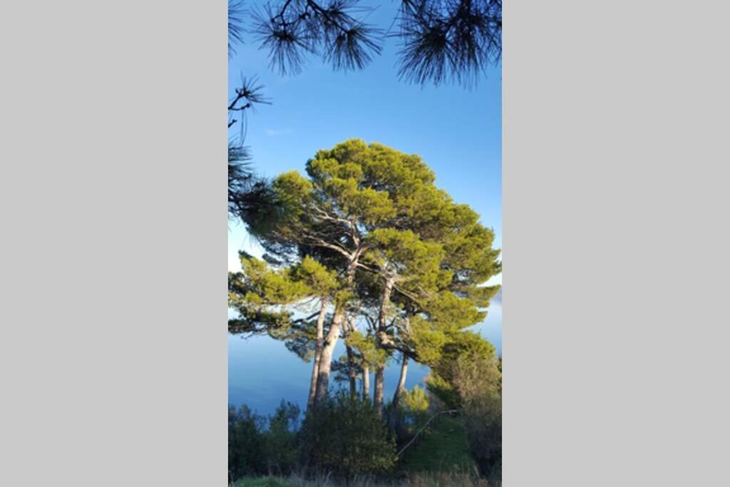 Bellavista La Tua Romantica Vacanza Sul Trasimeno Castiglione del Lago Exterior photo