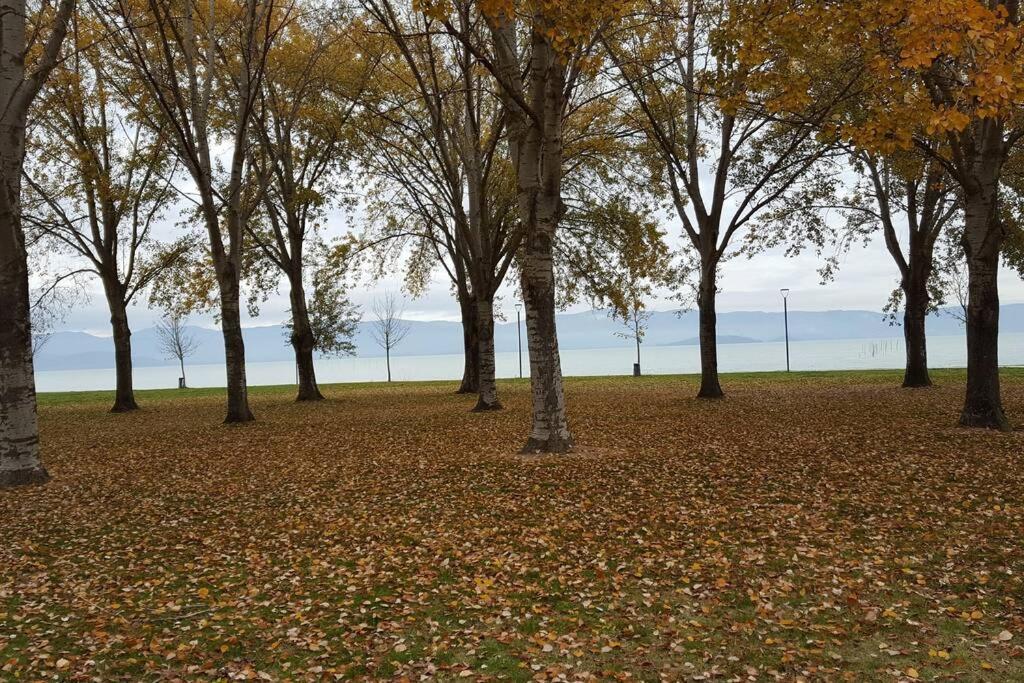 Bellavista La Tua Romantica Vacanza Sul Trasimeno Castiglione del Lago Exterior photo